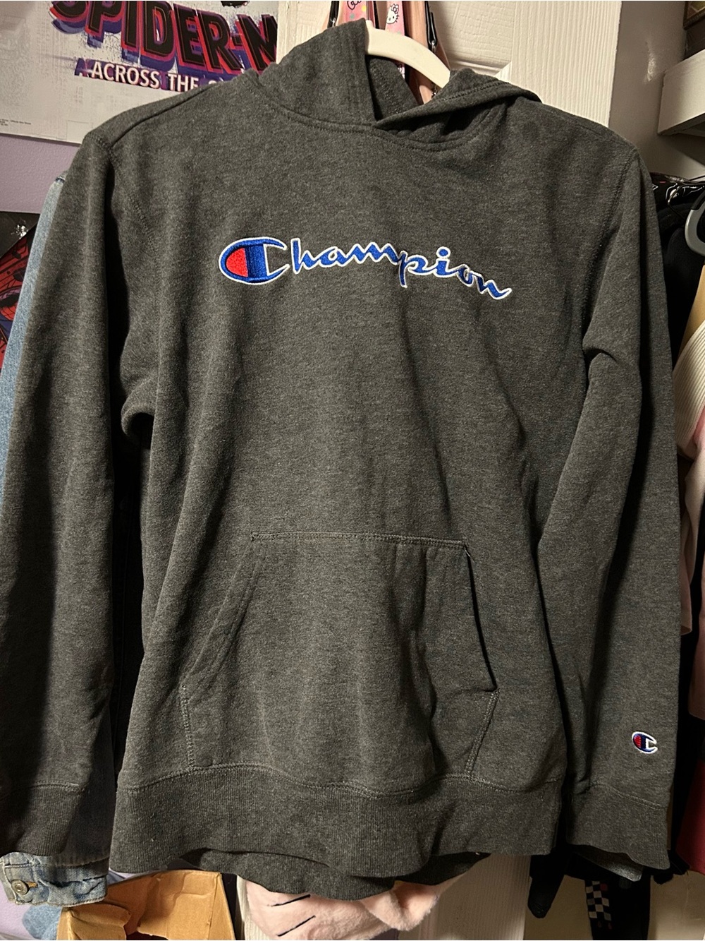 Champion Dark Charcoal Gray Hooded Sweatshirt with Blue & Red Logo